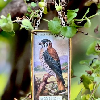 American Sparrow Hawk Tobacco Card