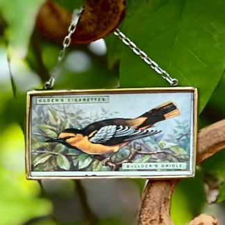 Bullock's Oriole Tobacco Card