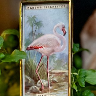 Flamingo Tobacco Card