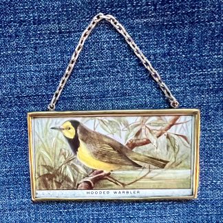 Hooded Warbler 2 Tobacco Card