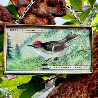 Ruby-Crowned Kinglet Tobacco Card