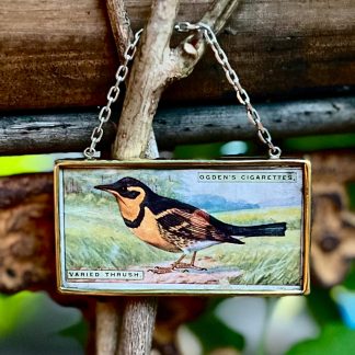 Varied Thrush Tobacco Card