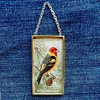 Western Tanager Tobacco Card