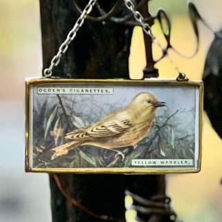 Yellow Warbler Tobacco Card